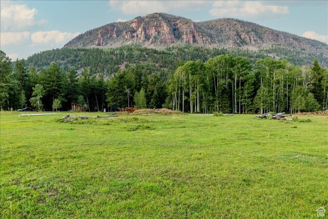 37186 W Rock Creek Rd, Duchesne, UT 84021 - photo 37