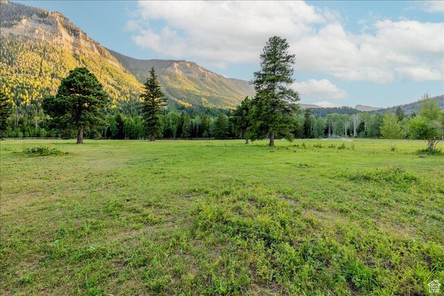 37186 W Rock Creek Rd, Duchesne, UT 84021 - photo 31