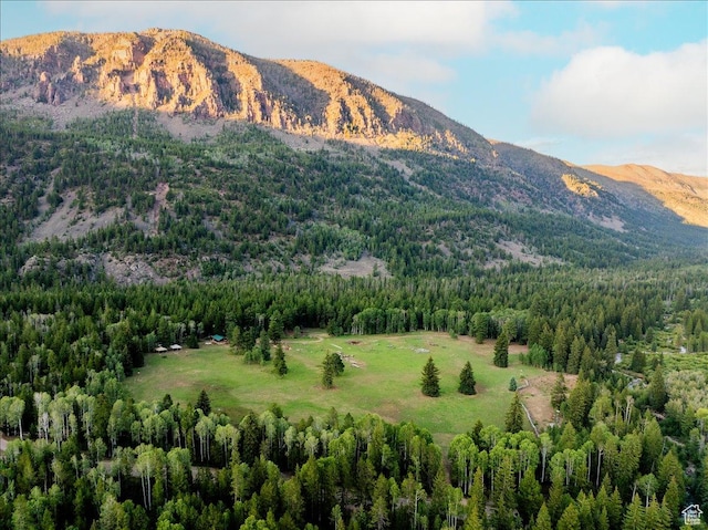 37186 W Rock Creek Rd, Duchesne, UT 84021 - photo 15
