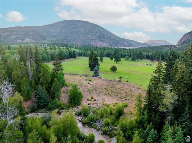37186 W Rock Creek Rd, Duchesne, UT 84021 - photo 34