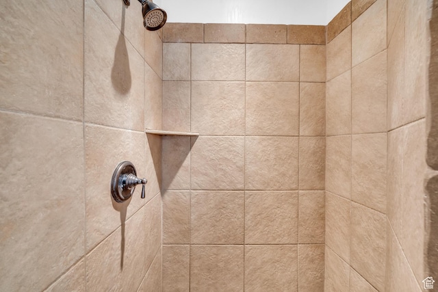 235 W Golden Eagle Cir, St George, UT 84770 - interior details featuring tiled shower