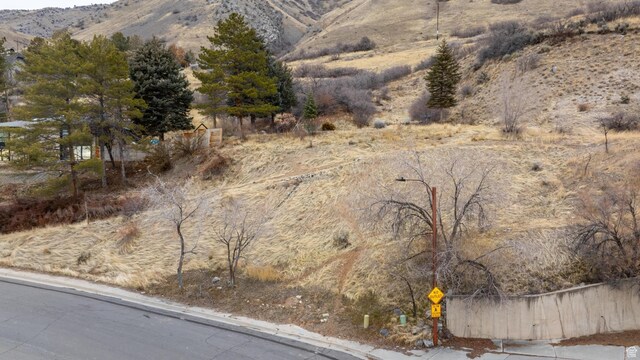 76 N 1540 E Unit 1, Springville, UT 84663