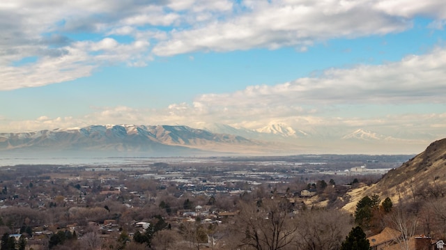 76 N 1540 E Unit 1, Springville, UT 84663
