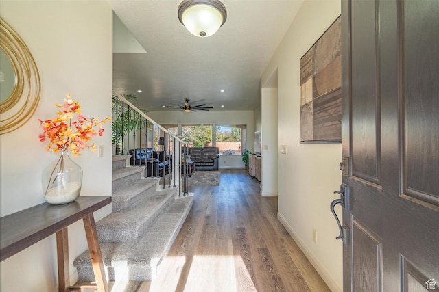entryway featuring ceiling fan and wood-type flooring