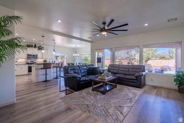 205 E Gold Bullion Way, Washington, UT 84780 - living room featuring sink, a wealth of natural light, a textured ceiling, and light hardwood / wood-style flooring