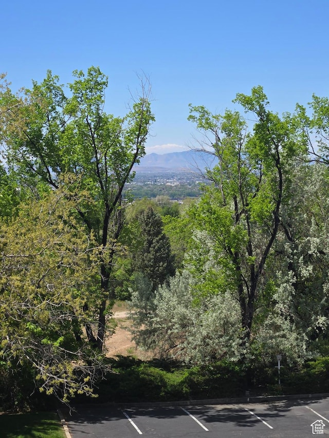 view of mountain background with a heavily wooded area