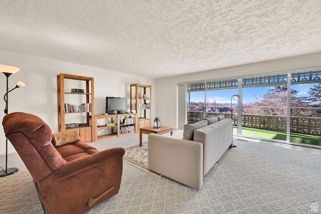 carpeted living area with a textured ceiling