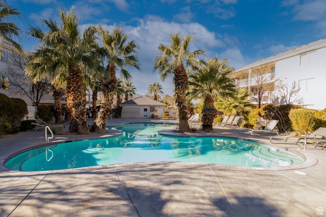 view of swimming pool featuring a patio area