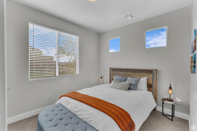 1439 N Arena Roja Dr, Washington, UT 84780 - bedroom featuring carpet floors