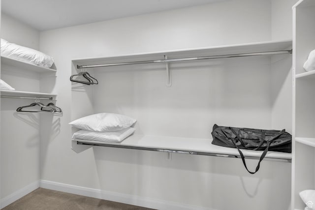 1439 N Arena Roja Dr, Washington, UT 84780 - spacious closet featuring carpet