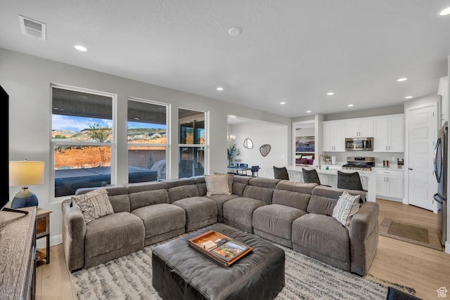 1439 N Arena Roja Dr, Washington, UT 84780 - living room with sink and light hardwood / wood-style floors