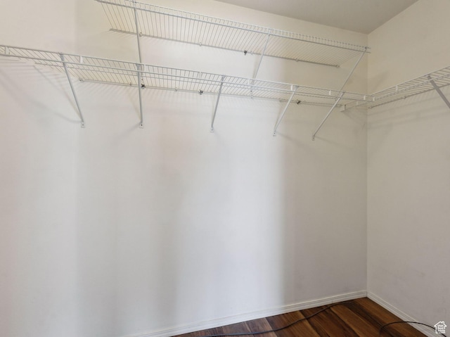 3859 S Mitchell Cv E Unit 203, South Salt Lake, UT 84115 - walk in closet with dark hardwood / wood-style flooring