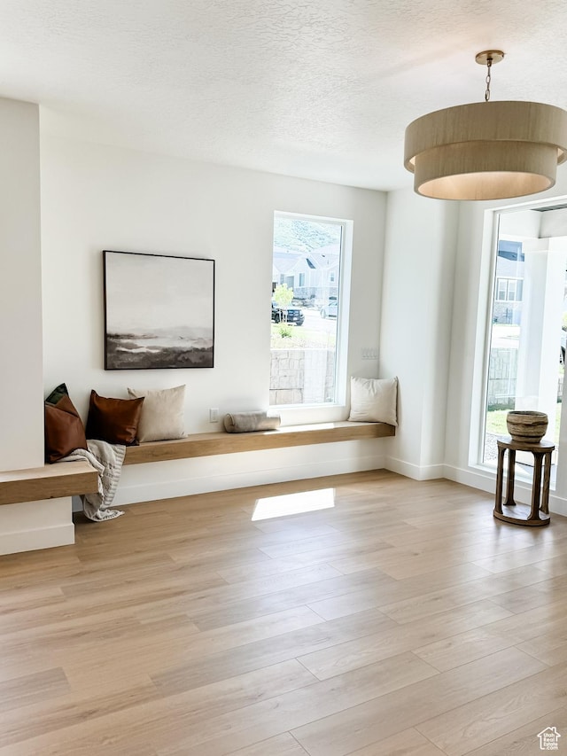 994 W Union Bench Dr S, Mapleton, UT 84664 - sitting room featuring a textured ceiling, baseboards, and light wood-style floors