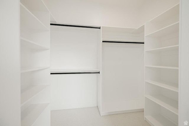 994 W Union Bench Dr S, Mapleton, UT 84664 - view of walk in closet