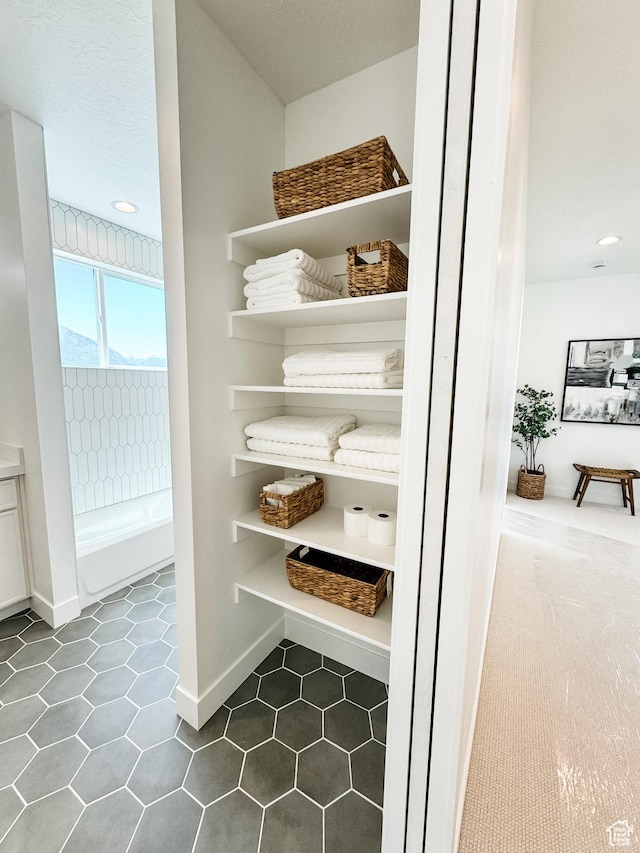 994 W Union Bench Dr S, Mapleton, UT 84664 - view of closet