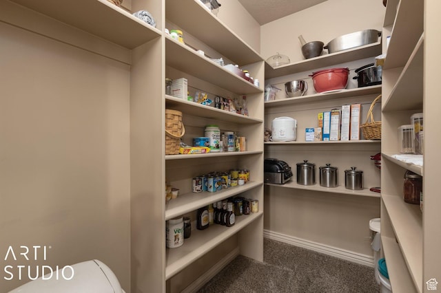 1679 N 4400 W, Plain City, UT 84404 - view of pantry