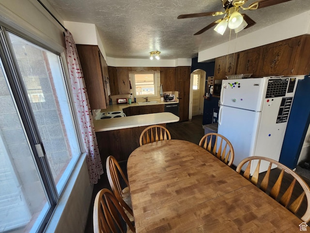 dining area with ceiling fan, sink, and a textured ceiling