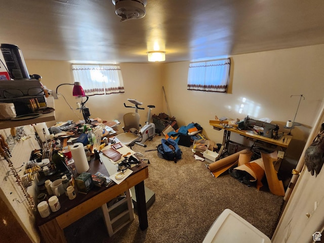 interior space with carpet