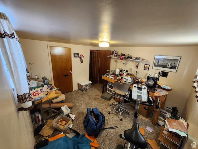 office featuring carpet
