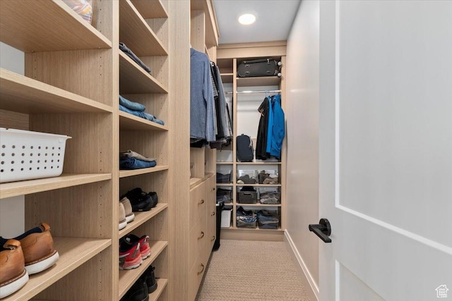 view of spacious closet