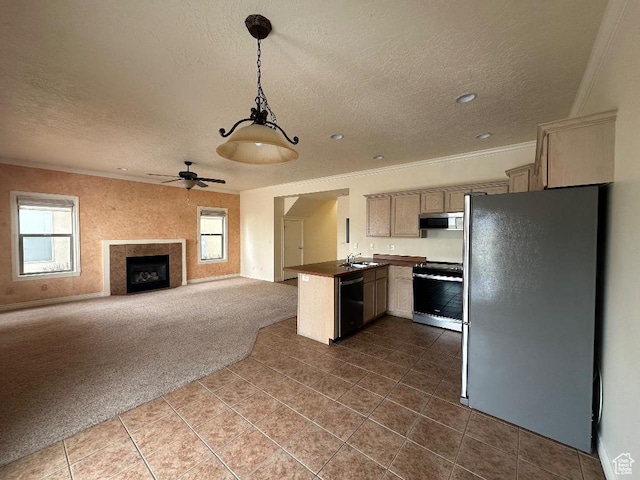 6751 S Sienna Park Ln, Midvale, UT 84047 - kitchen featuring sink, decorative light fixtures, kitchen peninsula, stainless steel appliances, and carpet
