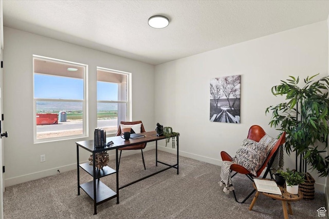 carpeted home office with baseboards