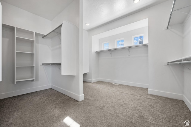 1002 W Temple Rim Ln, Payson, UT 84651 - walk in closet with carpet flooring