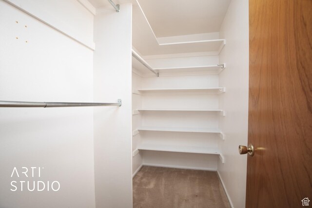 spacious closet with carpet flooring