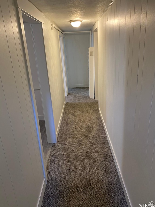 230 N 3rd St, Tooele, UT 84074 - corridor with carpet and wood walls