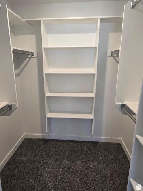 spacious closet featuring carpet flooring
