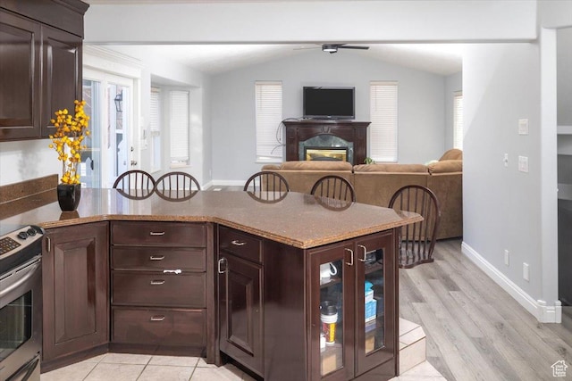 939 E Summit Dr N, Smithfield, UT 84335 - kitchen featuring lofted ceiling, light hardwood / wood-style floors, ceiling fan, dark brown cabinetry, and electric stove