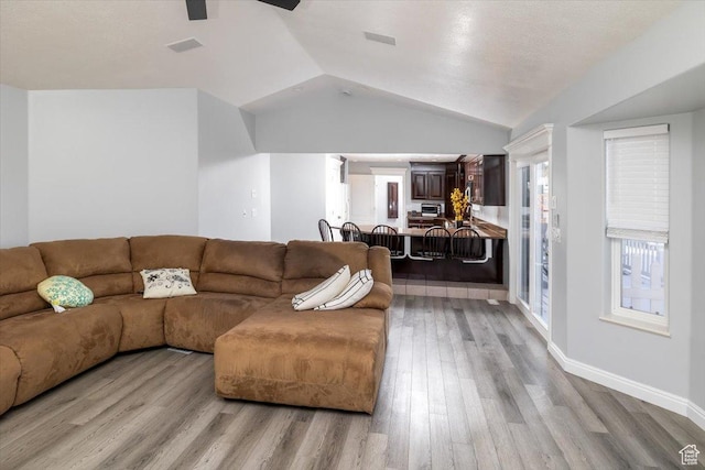 939 E Summit Dr N, Smithfield, UT 84335 - living room with ceiling fan, lofted ceiling, a healthy amount of sunlight, and light wood-type flooring