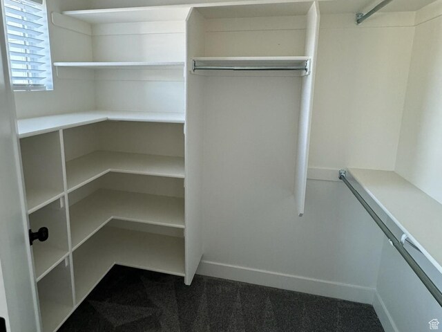 walk in closet with carpet flooring