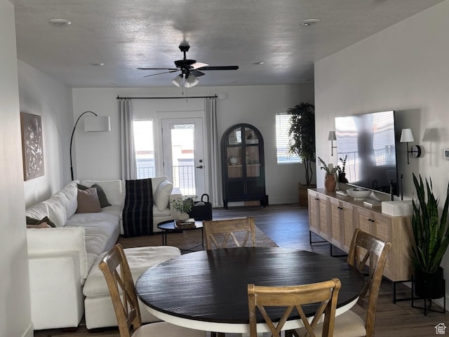 dining area with a textured ceiling, wood finished floors, and a ceiling fan