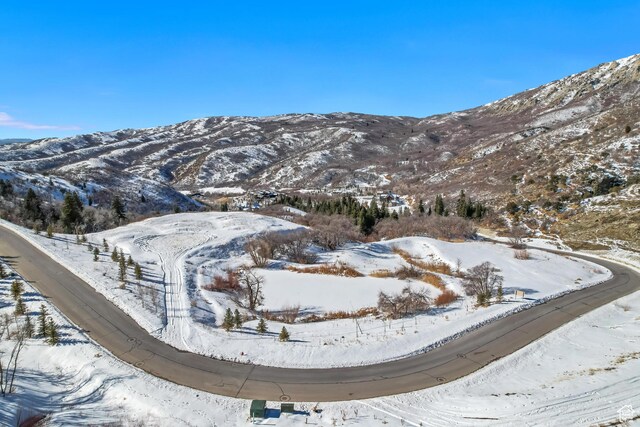 2697 N Three Falls Dr Unit 31, Alpine, UT 84004
