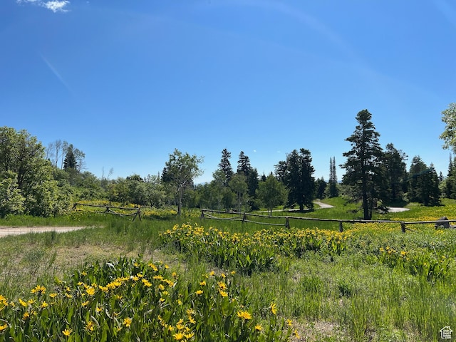 view of nature with a rural view