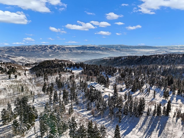 snowy aerial view with a mountain view