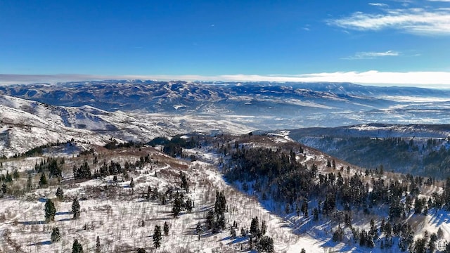 snowy aerial view featuring a mountain view