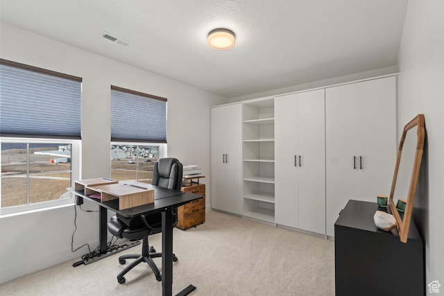 6850 Mountain Maple Dr Unit 14, Park City, UT 84098 - home office with light colored carpet and a textured ceiling