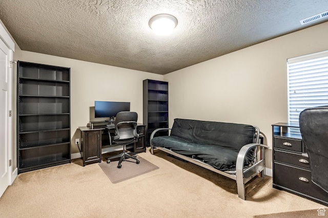 7104 S Cadens Cv, Cottonwood Heights, UT 84121 - carpeted office space featuring a textured ceiling