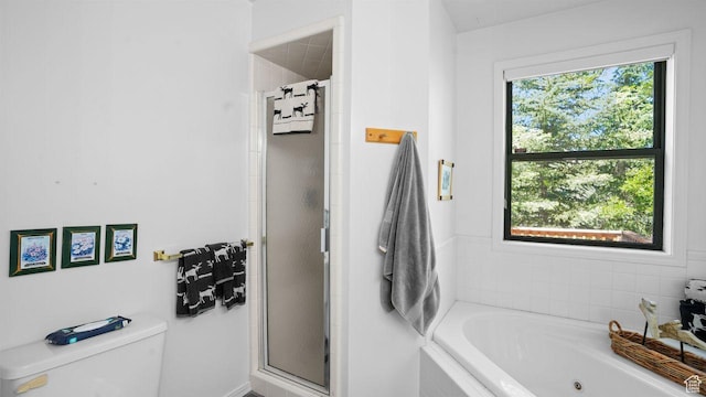 335 Jungfrau Hill Rd, Midway, UT 84049 - bathroom with independent shower and bath and toilet