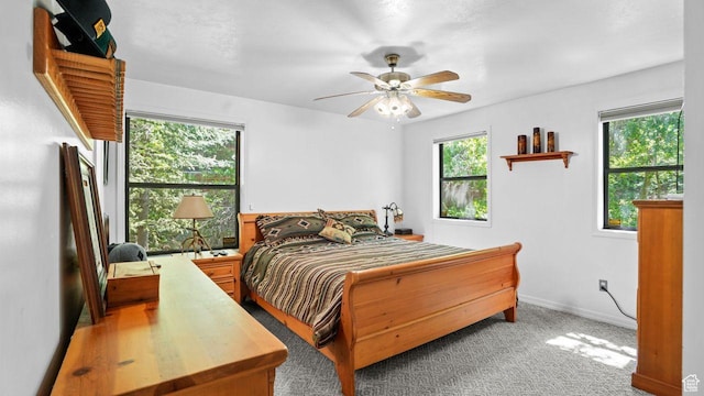 335 Jungfrau Hill Rd, Midway, UT 84049 - carpeted bedroom featuring multiple windows and ceiling fan
