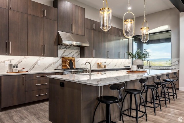 1817 W Skyridge Dr, Heber City, UT 84032 - kitchen with under cabinet range hood, decorative backsplash, light wood-type flooring, light stone counters, and an island with sink