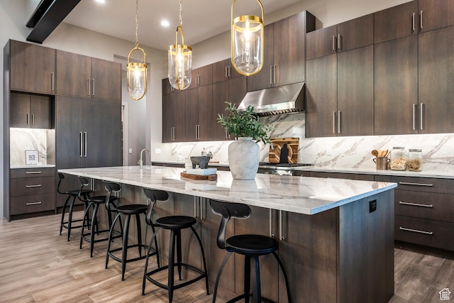 1817 W Skyridge Dr, Heber City, UT 84032 - kitchen featuring under cabinet range hood, tasteful backsplash, a center island with sink, light wood-style floors, and light stone countertops