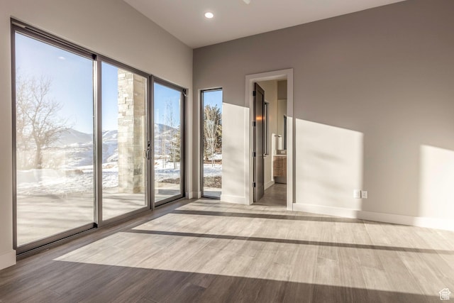 spare room with a mountain view and light hardwood / wood-style floors