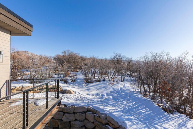 view of yard covered in snow