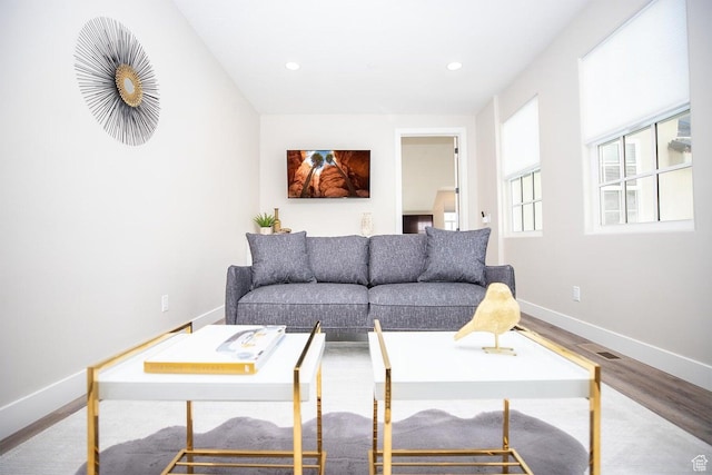 living room featuring hardwood / wood-style floors