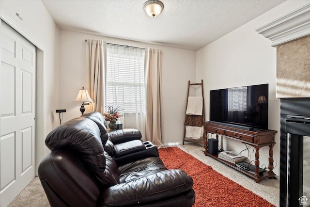 carpeted living area featuring a textured ceiling