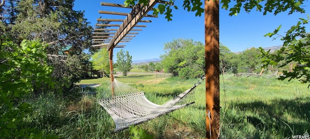 11905 E 24560 N, Fairview, UT 84629 - view of home's community featuring a pergola