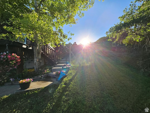 11905 E 24560 N, Fairview, UT 84629 - view of yard